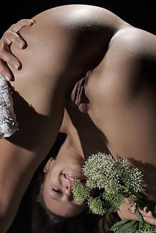 Edison X in Bride In The Dark by Thierry Murrell indoor brun...