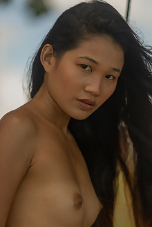 Presenting Kloyali by David Menich outdoor asian black hair brown eyes small tits shaved